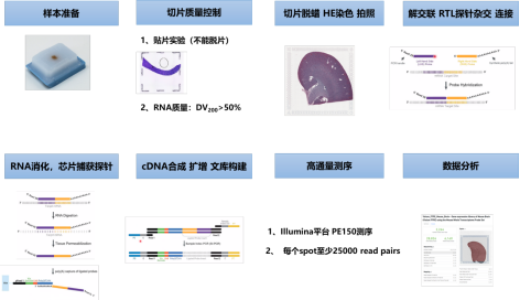 ffpe样本空间转录组测序服务流程图