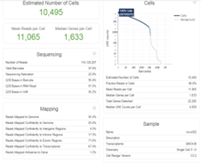 cellranger分析结果